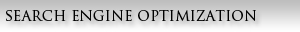 Houston SEO