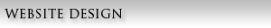 Houston Website Design